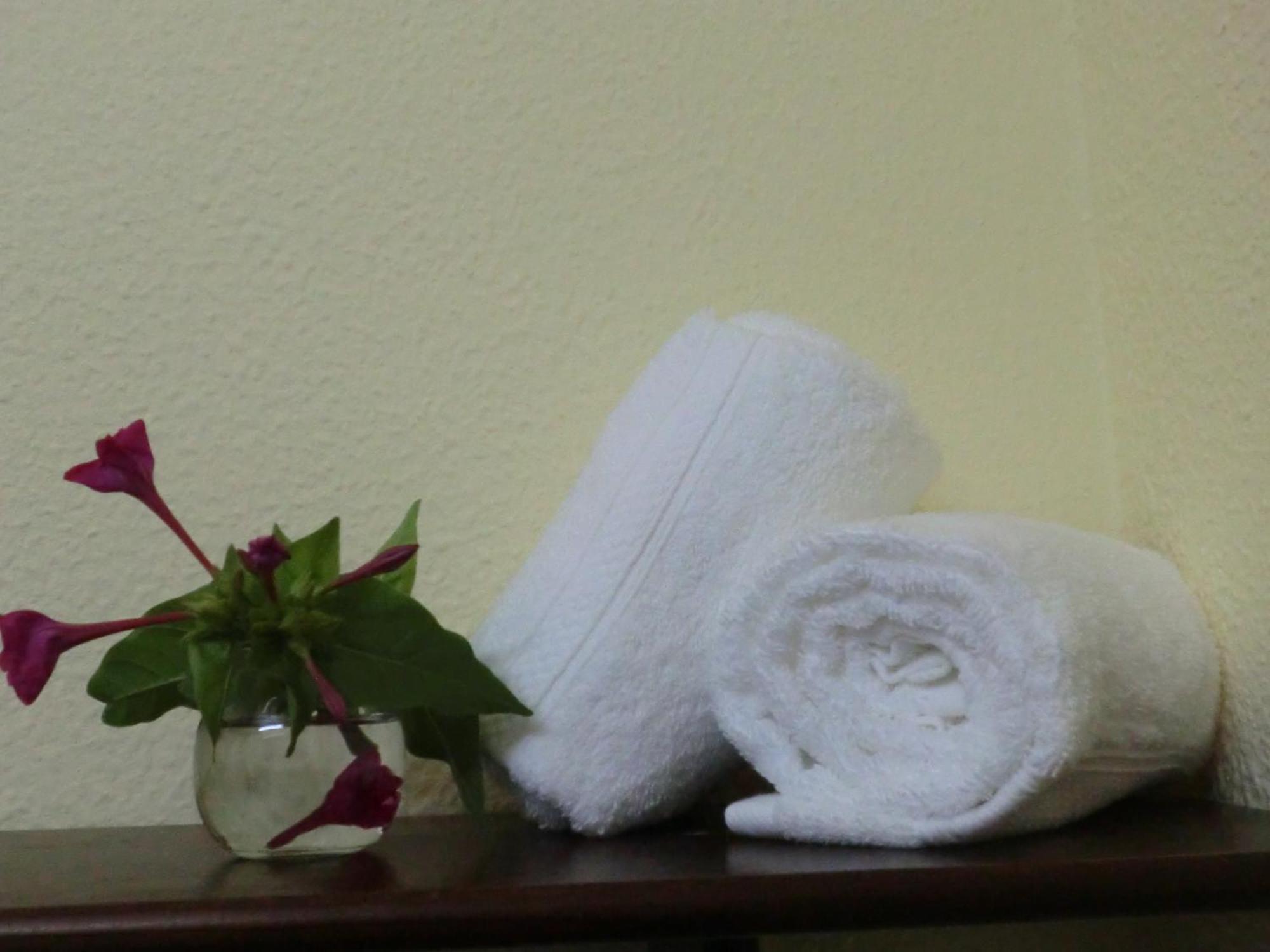 Varandas De Alter Hotel & Spa Alter do Chão Dış mekan fotoğraf