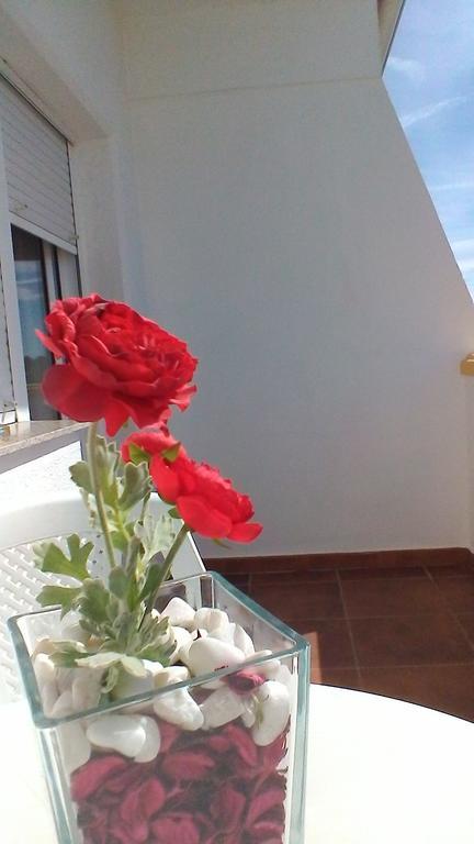 Varandas De Alter Hotel & Spa Alter do Chão Dış mekan fotoğraf